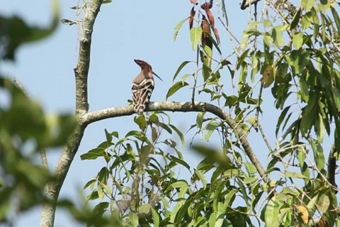 Dudhwa National Park